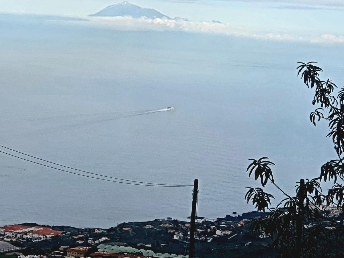Costa Este House Monte de Brena Dış mekan fotoğraf