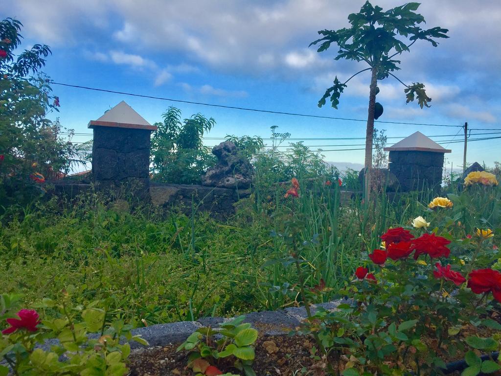 Costa Este House Monte de Brena Dış mekan fotoğraf